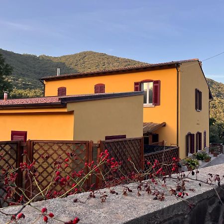 كامبيليا ماريتيما B&B La Fucinaia Pet Friendly Adults Only المظهر الخارجي الصورة