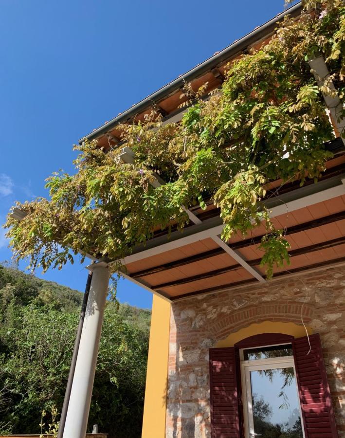كامبيليا ماريتيما B&B La Fucinaia Pet Friendly Adults Only المظهر الخارجي الصورة