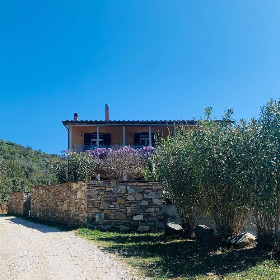 كامبيليا ماريتيما B&B La Fucinaia Pet Friendly Adults Only المظهر الخارجي الصورة
