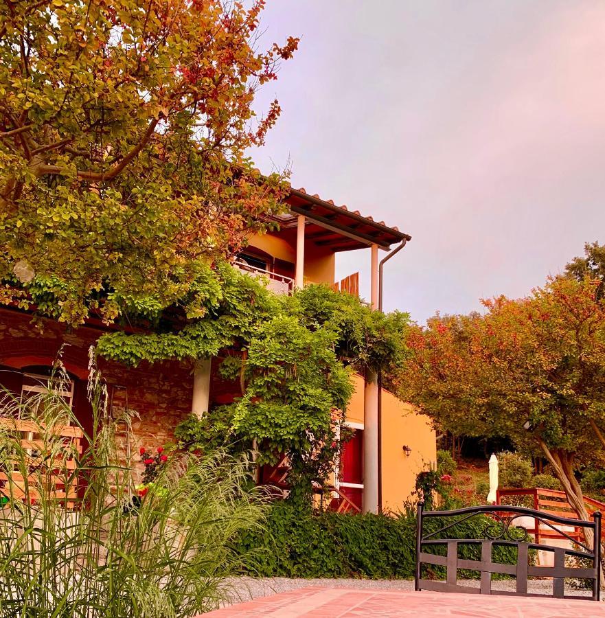 كامبيليا ماريتيما B&B La Fucinaia Pet Friendly Adults Only المظهر الخارجي الصورة