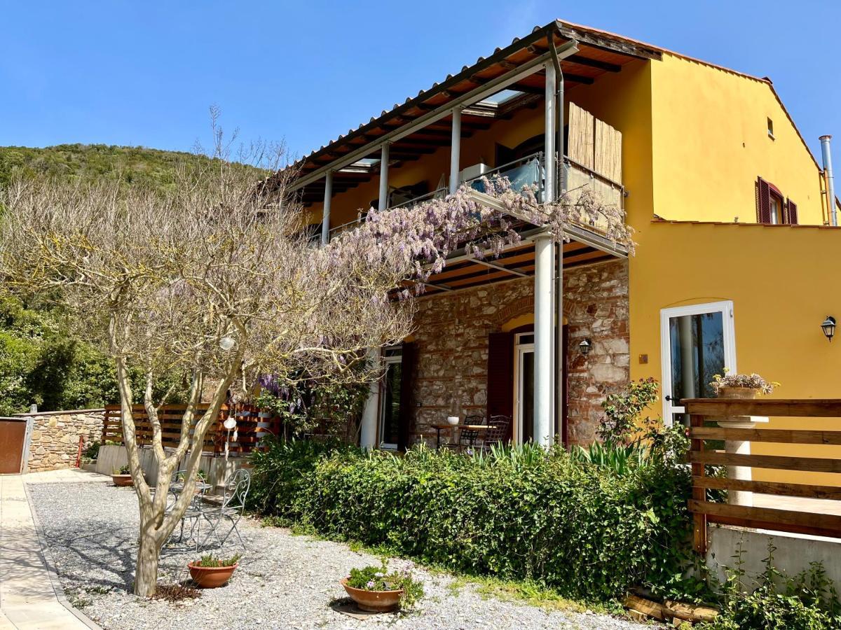 كامبيليا ماريتيما B&B La Fucinaia Pet Friendly Adults Only المظهر الخارجي الصورة