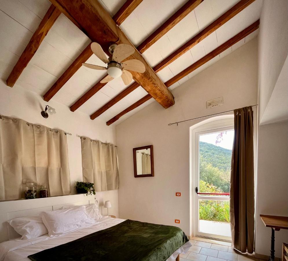 كامبيليا ماريتيما B&B La Fucinaia Pet Friendly Adults Only المظهر الخارجي الصورة