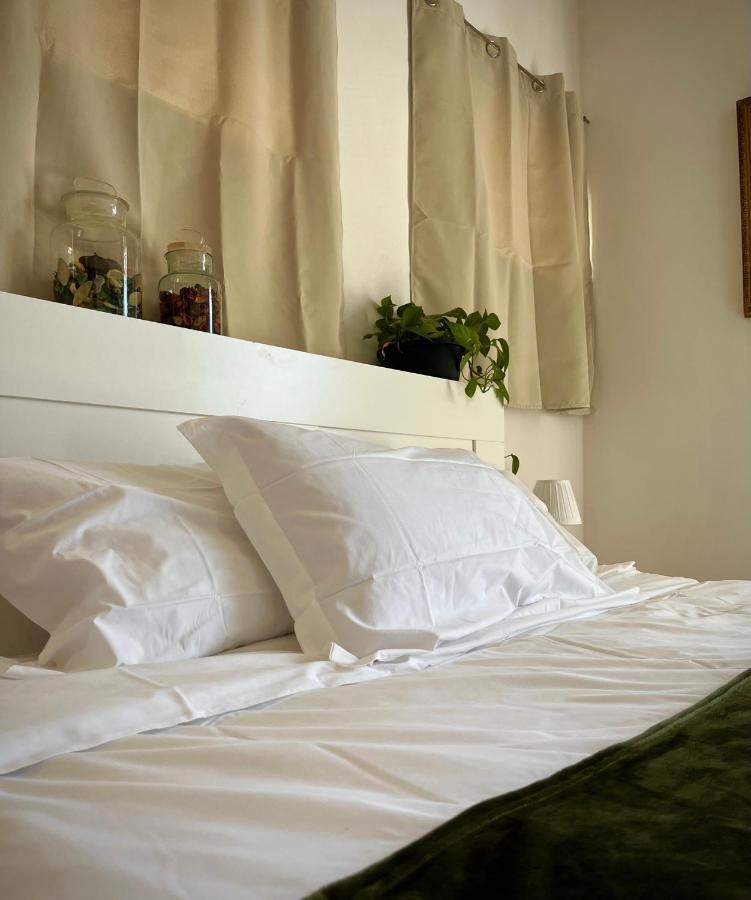 كامبيليا ماريتيما B&B La Fucinaia Pet Friendly Adults Only المظهر الخارجي الصورة