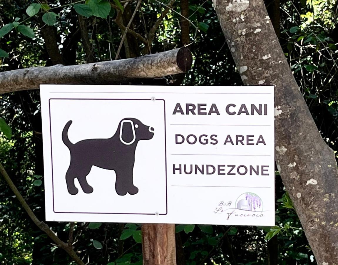 كامبيليا ماريتيما B&B La Fucinaia Pet Friendly Adults Only المظهر الخارجي الصورة