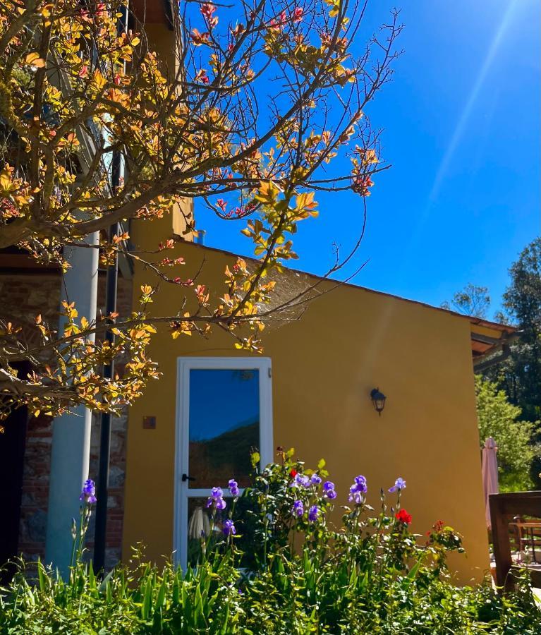 كامبيليا ماريتيما B&B La Fucinaia Pet Friendly Adults Only المظهر الخارجي الصورة