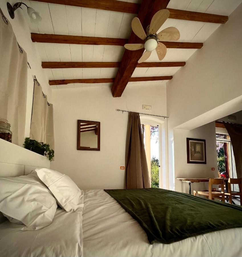 كامبيليا ماريتيما B&B La Fucinaia Pet Friendly Adults Only المظهر الخارجي الصورة