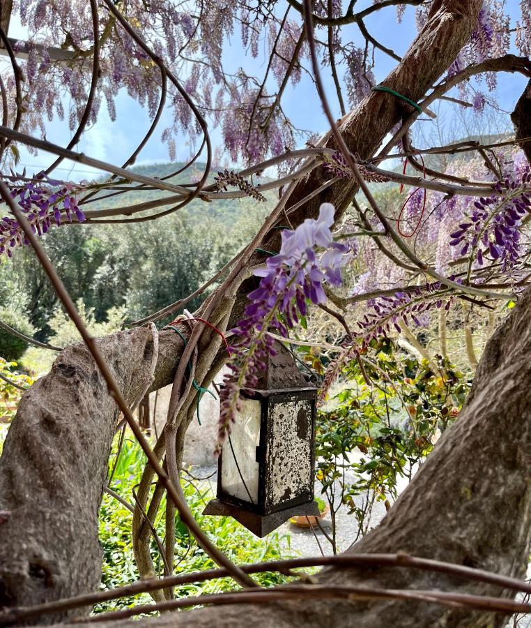 كامبيليا ماريتيما B&B La Fucinaia Pet Friendly Adults Only المظهر الخارجي الصورة
