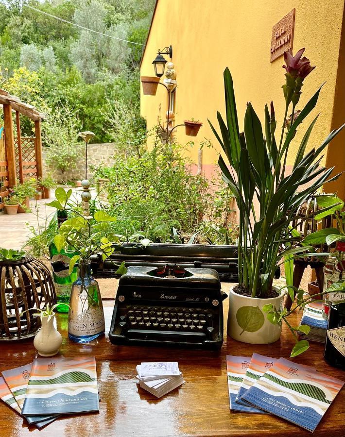 كامبيليا ماريتيما B&B La Fucinaia Pet Friendly Adults Only المظهر الخارجي الصورة