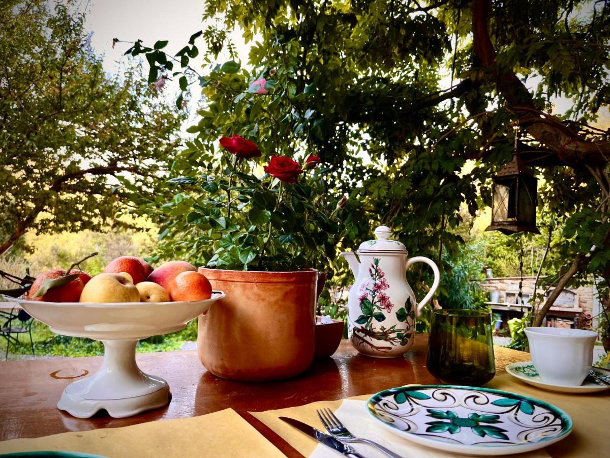 كامبيليا ماريتيما B&B La Fucinaia Pet Friendly Adults Only المظهر الخارجي الصورة
