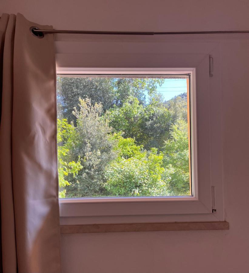 كامبيليا ماريتيما B&B La Fucinaia Pet Friendly Adults Only المظهر الخارجي الصورة
