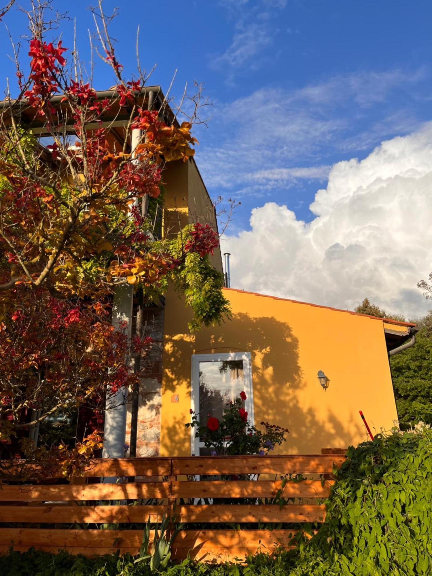 كامبيليا ماريتيما B&B La Fucinaia Pet Friendly Adults Only المظهر الخارجي الصورة