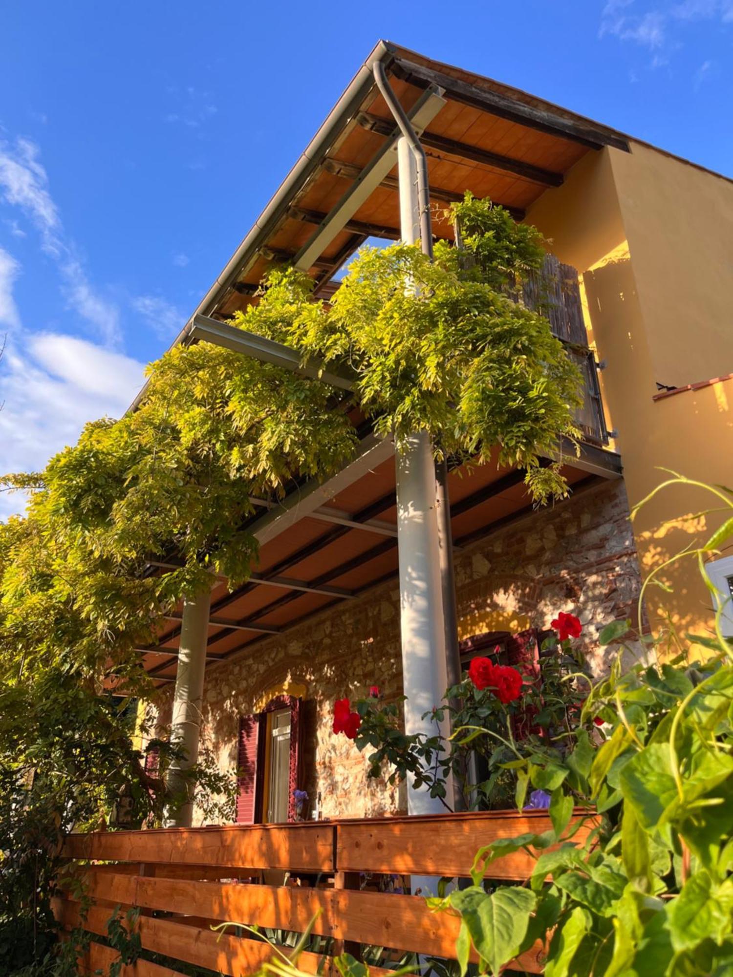 كامبيليا ماريتيما B&B La Fucinaia Pet Friendly Adults Only المظهر الخارجي الصورة