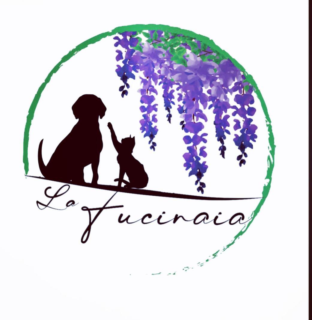 كامبيليا ماريتيما B&B La Fucinaia Pet Friendly Adults Only المظهر الخارجي الصورة