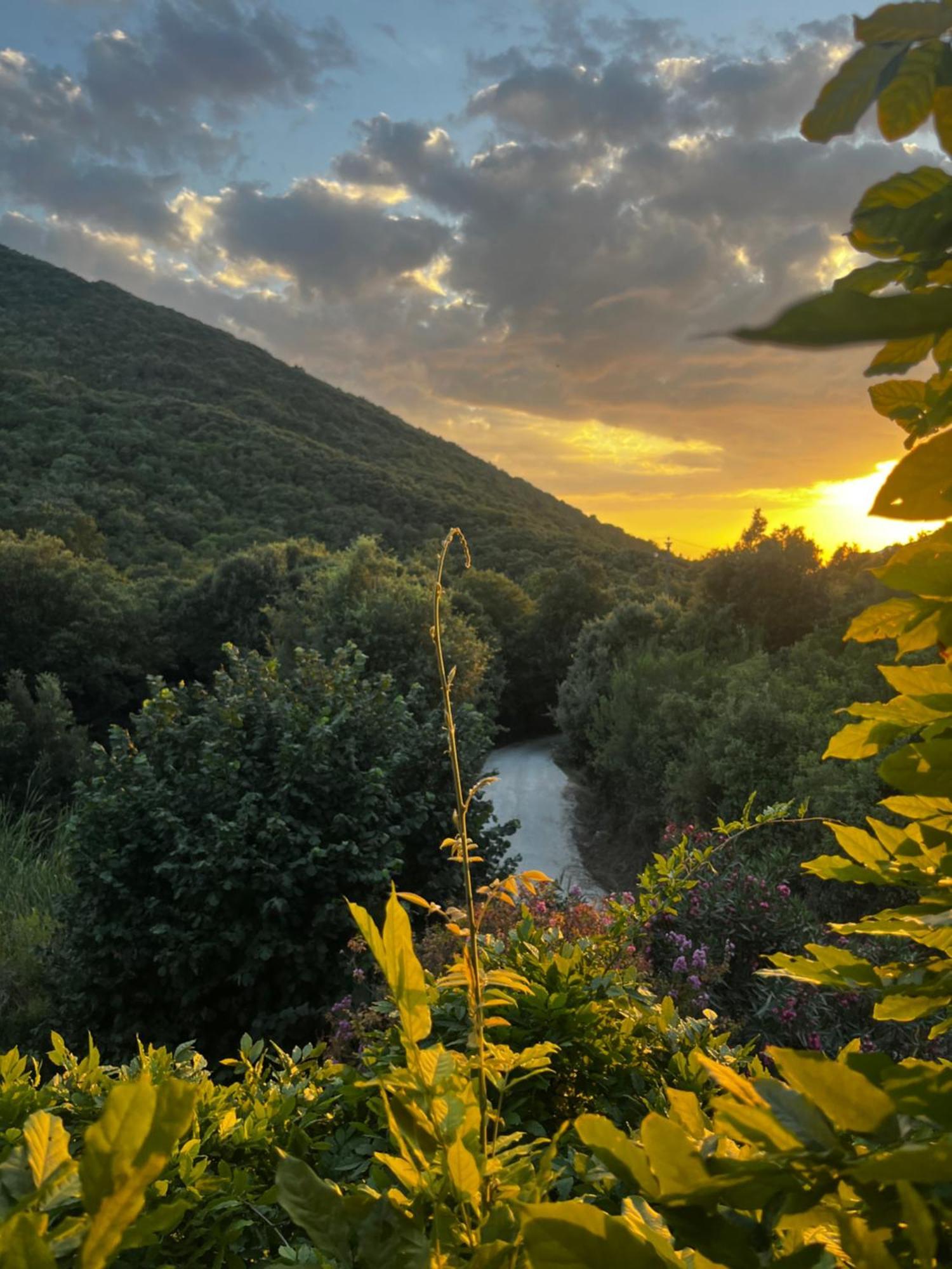 كامبيليا ماريتيما B&B La Fucinaia Pet Friendly Adults Only المظهر الخارجي الصورة
