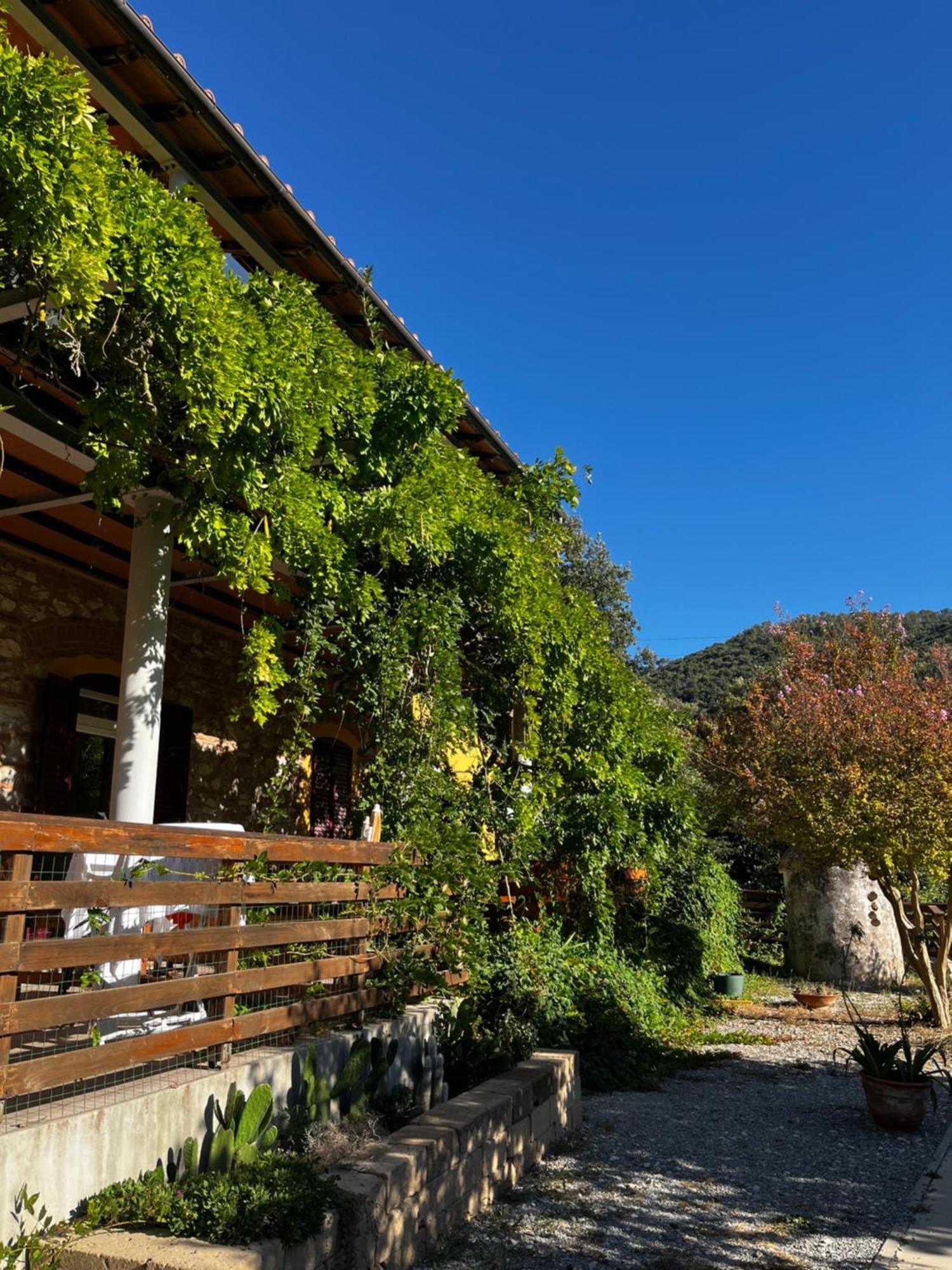 كامبيليا ماريتيما B&B La Fucinaia Pet Friendly Adults Only المظهر الخارجي الصورة