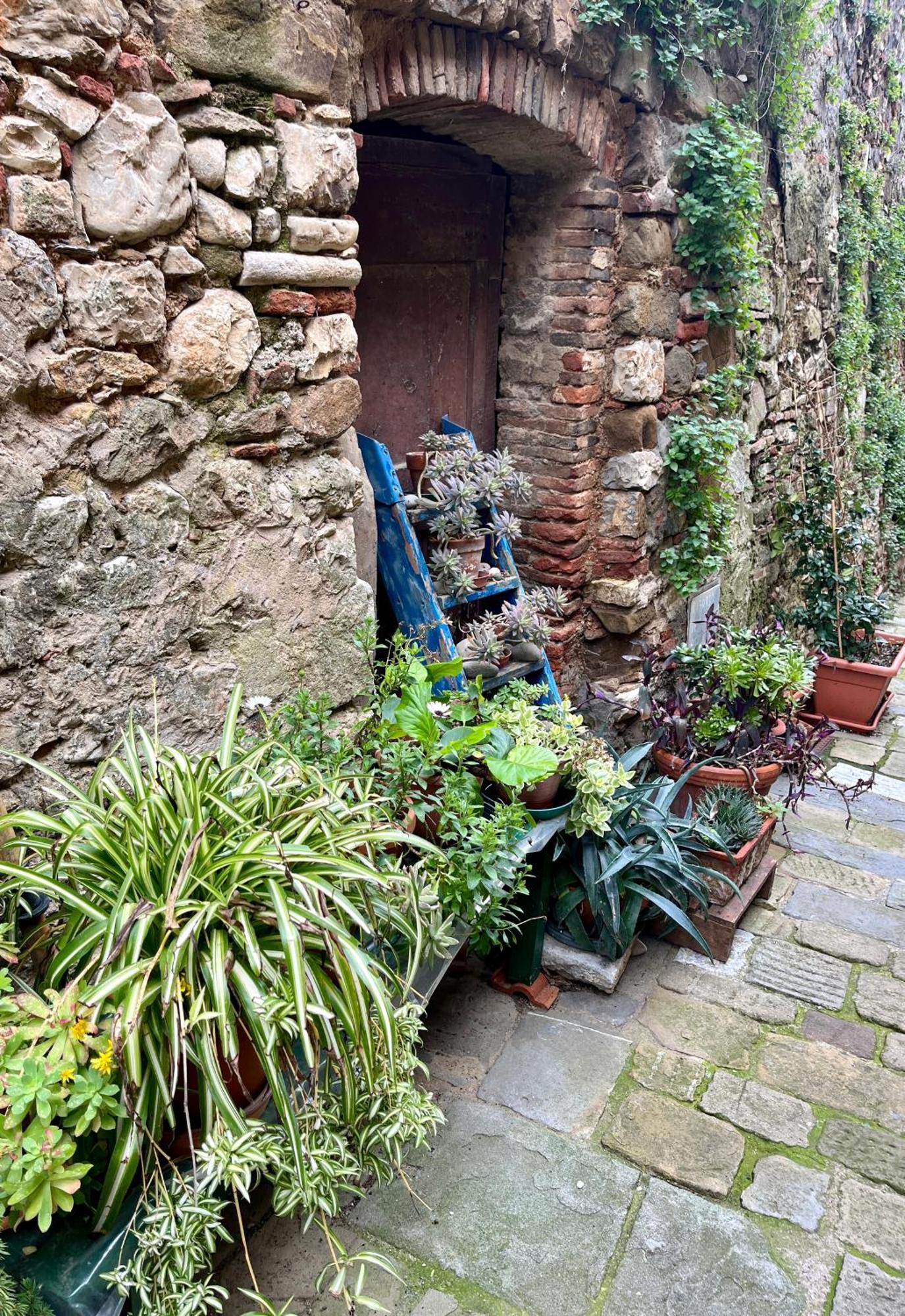كامبيليا ماريتيما B&B La Fucinaia Pet Friendly Adults Only المظهر الخارجي الصورة
