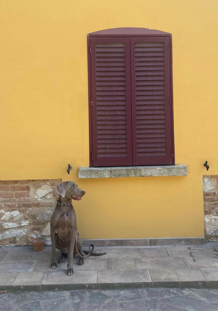 كامبيليا ماريتيما B&B La Fucinaia Pet Friendly Adults Only المظهر الخارجي الصورة