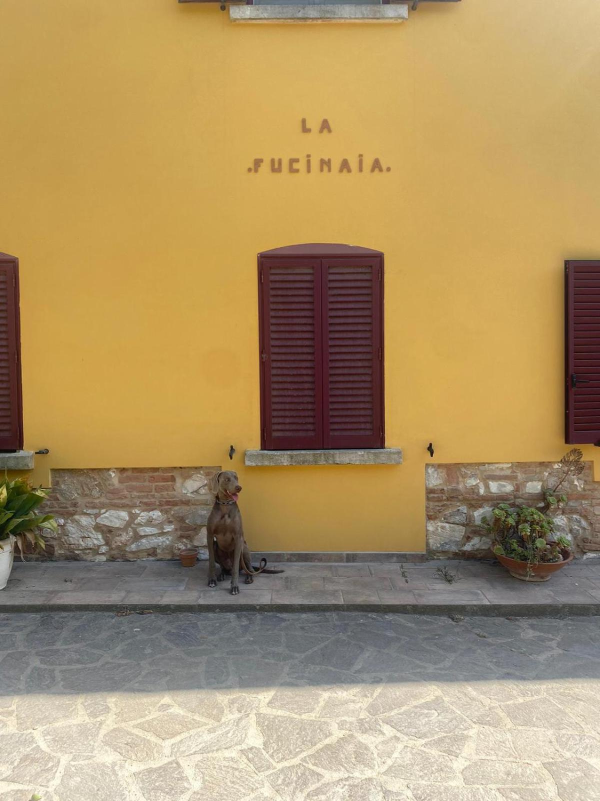 كامبيليا ماريتيما B&B La Fucinaia Pet Friendly Adults Only المظهر الخارجي الصورة